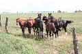 IMG_0666.jpg